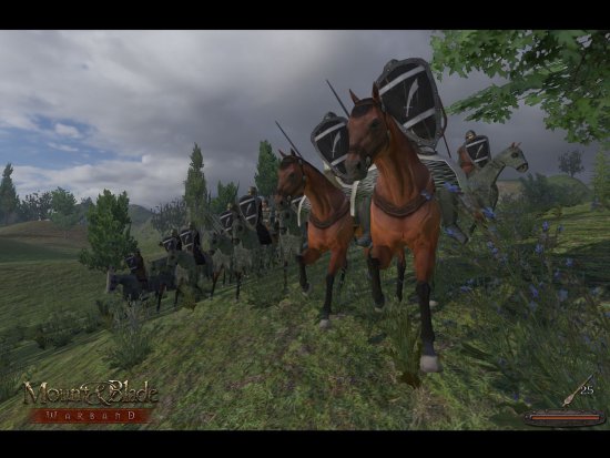 Mount & Blade: Warband - обзор игры