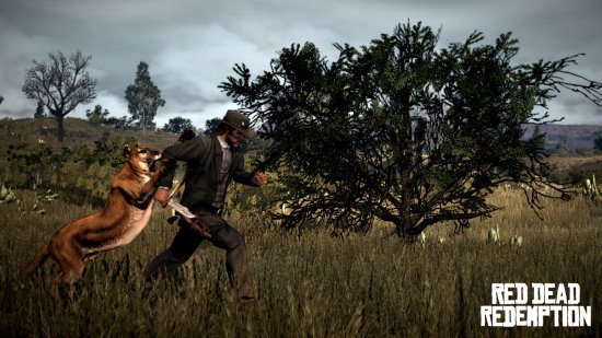 Red Dead Redemption - обзор игры